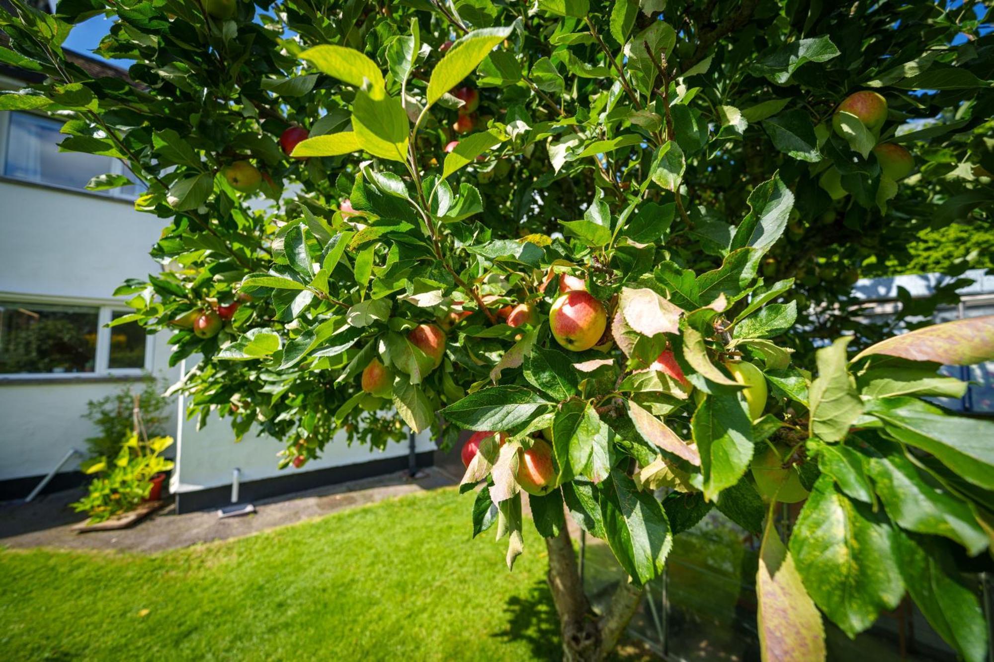 Apple Byrd - Short Stroll Into Town Centre * Kendal